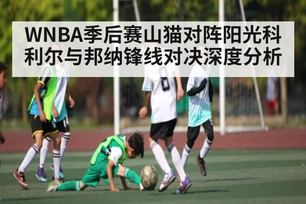 WNBA季后赛山猫对阵阳光科利尔与邦纳锋线对决深度分析